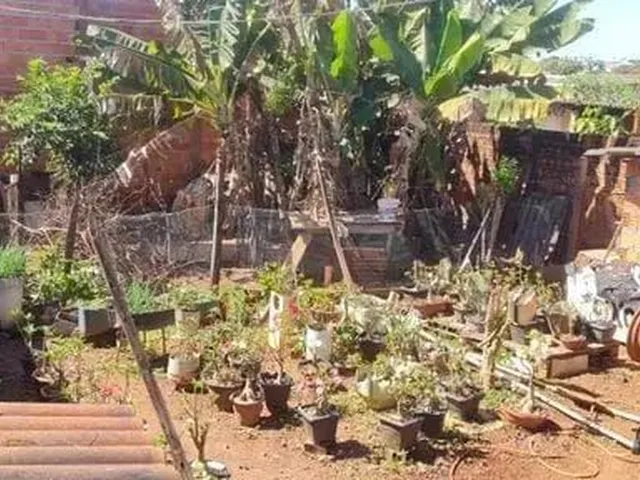 Imagem: Casa