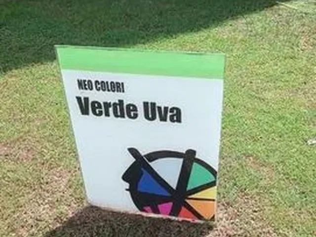 Imagem: Alugo Neo Colori, na Mario Covas