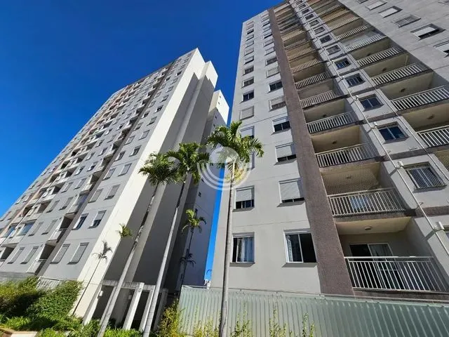 Imagem: Apartamento - Taquaral - Campinas
