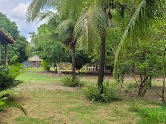 Imagem 7: Sitio Estrada União/Lagoa Alegre, Povoado Chapadinha 9 Km do Centro de União
