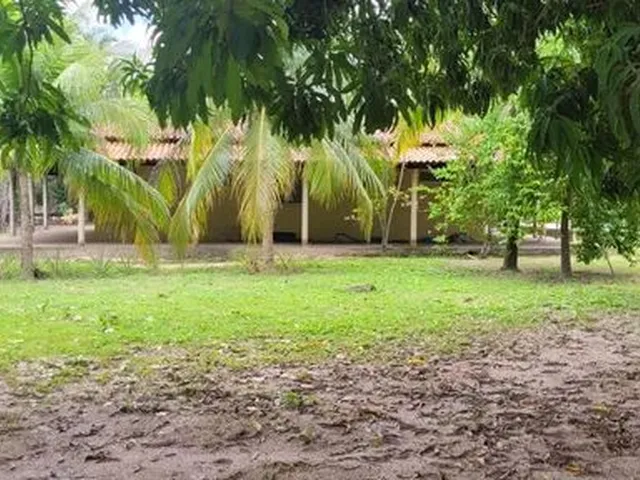 Imagem 12: Sitio Estrada União/Lagoa Alegre, Povoado Chapadinha 9 Km do Centro de União