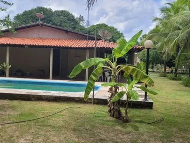 Imagem 11: Sitio Estrada União/Lagoa Alegre, Povoado Chapadinha 9 Km do Centro de União
