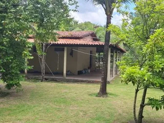 Imagem 6: Sitio Estrada União/Lagoa Alegre, Povoado Chapadinha 9 Km do Centro de União