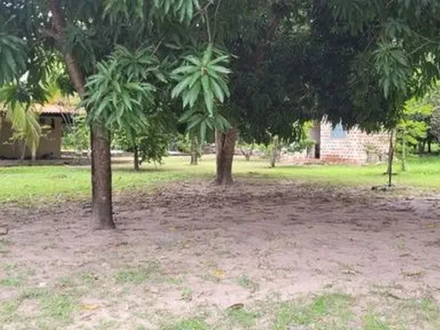 Imagem 8: Sitio Estrada União/Lagoa Alegre, Povoado Chapadinha 9 Km do Centro de União