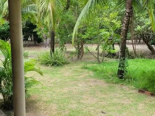 Imagem 5: Sitio Estrada União/Lagoa Alegre, Povoado Chapadinha 9 Km do Centro de União