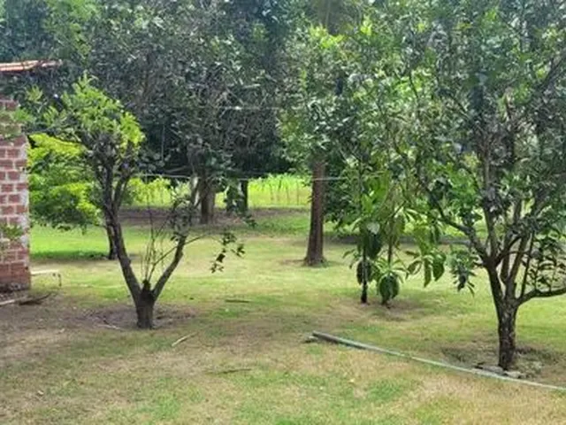Imagem 3: Sitio Estrada União/Lagoa Alegre, Povoado Chapadinha 9 Km do Centro de União