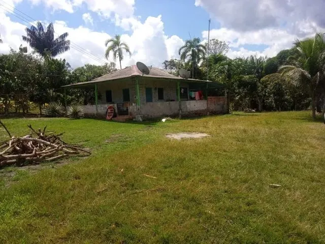 Imagem: Sítio - Casa, Campo, Ponto Comercial