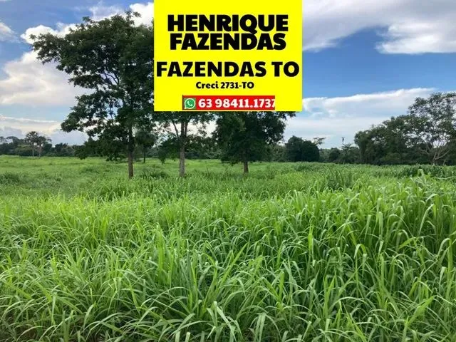 Imagem: Fazenda 136 Alqueires a 30 Km de Araguaina