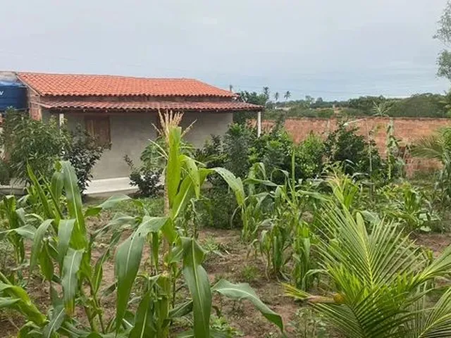 Imagem: Sítio