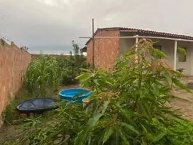 Imagem 6: Sitio Chácara com venda por R$60.000