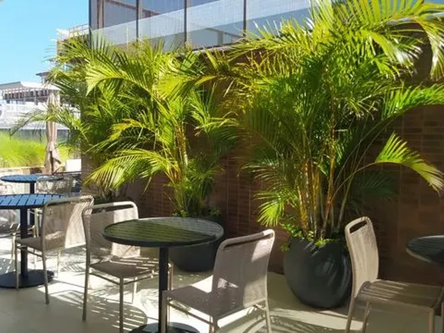 Imagem 15: Apartamento de Temporada em Jurerê