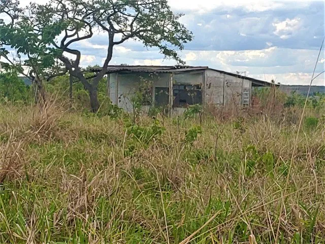 Imagem 4: Excelente Chácara com 20.000 M² no Núcleo Rural Boa Esperança