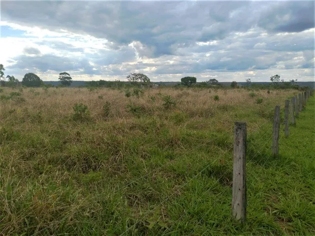 Imagem 5: Excelente Chácara com 20.000 M² no Núcleo Rural Boa Esperança