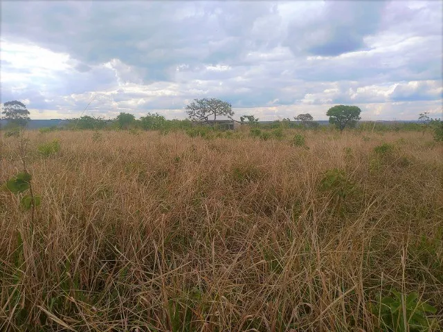Imagem 3: Excelente Chácara com 20.000 M² no Núcleo Rural Boa Esperança