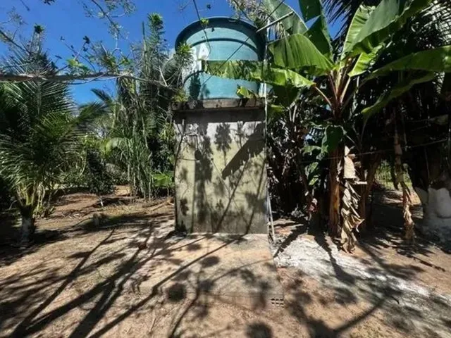 Imagem 15: Sítio em Jacuípe com 10000M2