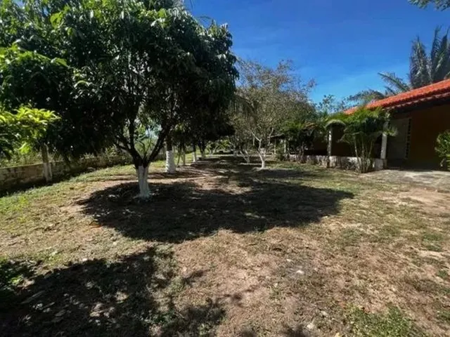 Imagem 7: Sítio em Jacuípe com 10000M2