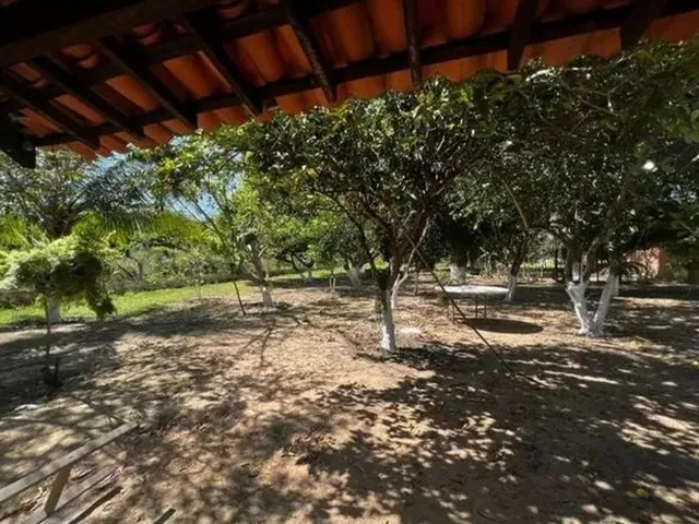 Imagem 6: Sítio em Jacuípe com 10000M2