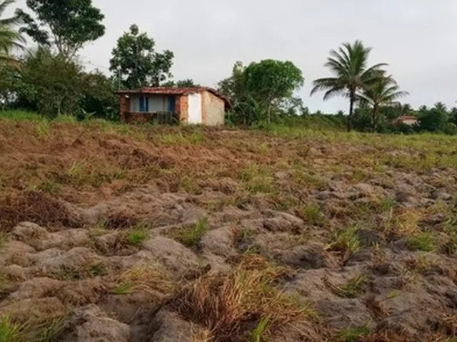 Imagem 1: Vendo Excelente Sitio em Jaguaripe