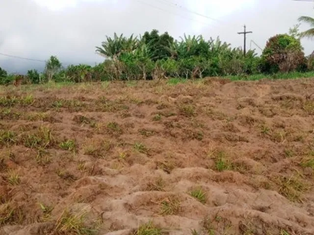Imagem 2: Vendo Excelente Sitio em Jaguaripe