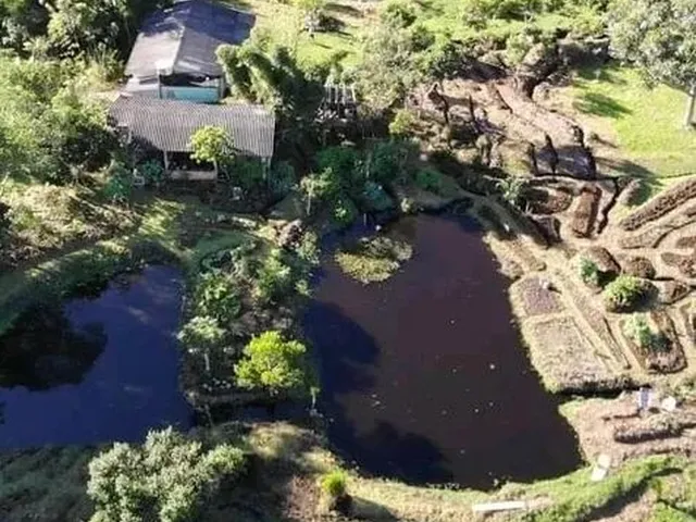 Imagem 4: Vende-Se Sítio de 7,8 Hectares em Itapeva - Torres/Rs