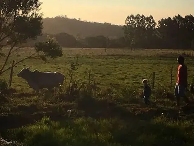 Imagem 3: Vende-Se Sítio de 7,8 Hectares em Itapeva - Torres/Rs