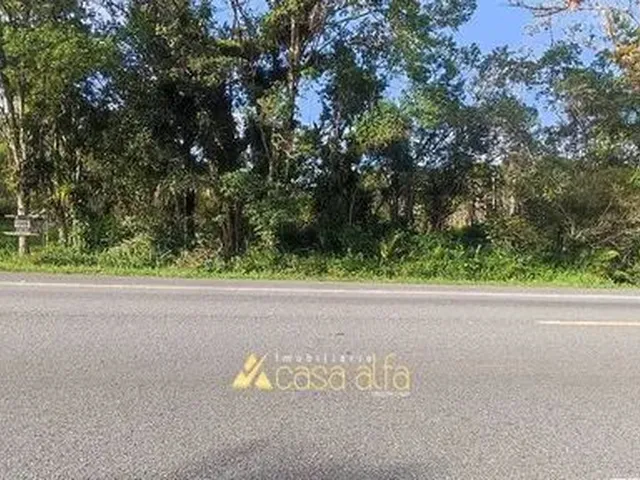 Imagem: Terreno 5000 Mil Metros de Frente para Rodovia