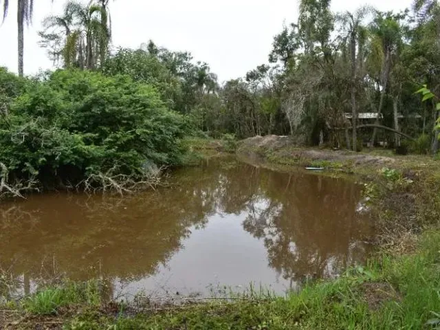Imagem 4: Chácara Praticamente na Cidade! Lindo Chalé e Açude!