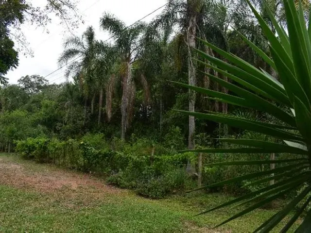 Imagem 2: Chácara Praticamente na Cidade! Lindo Chalé e Açude!