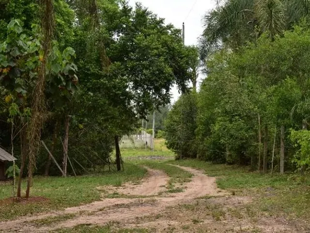 Imagem 3: Chácara Praticamente na Cidade! Lindo Chalé e Açude!