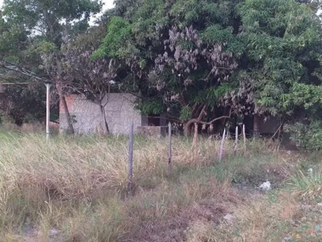 Imagem 4: Chacara Bem Localizada no Operario