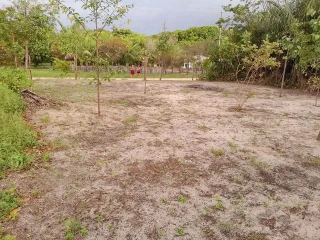 Imagem: Terreno R$ 10,000 no Araticum Mirim