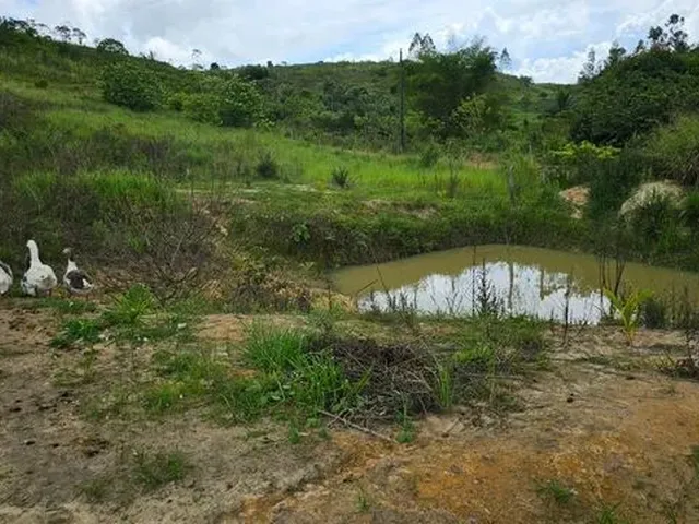 Imagem 8: Rancho com 7 Hectares em São Luis / Flexeiras