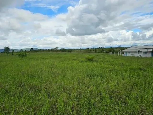 Imagem 9: Rancho com 7 Hectares em São Luis / Flexeiras