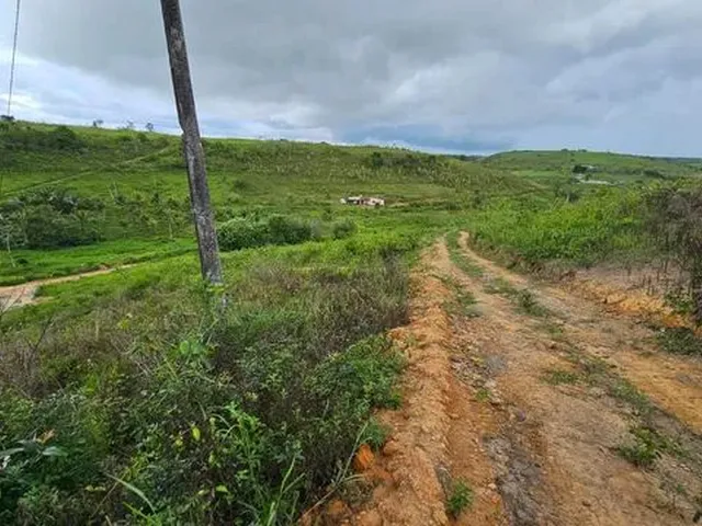 Imagem 13: Rancho com 7 Hectares em São Luis / Flexeiras