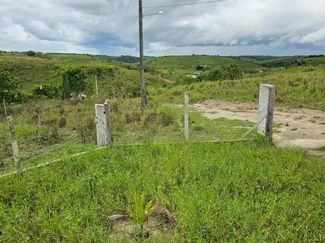 Imagem 5: Rancho com 7 Hectares em São Luis / Flexeiras