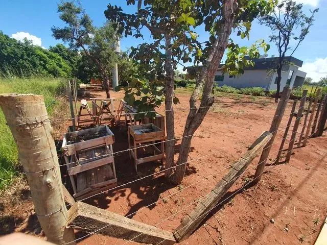 Imagem: Atenção! Urgente! Excelente Lote! Cond