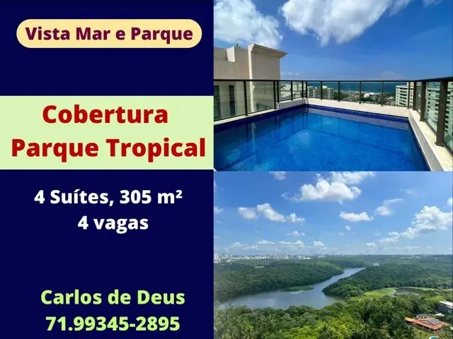 Imagem: Oportunidade Cobertura Parque Tropical