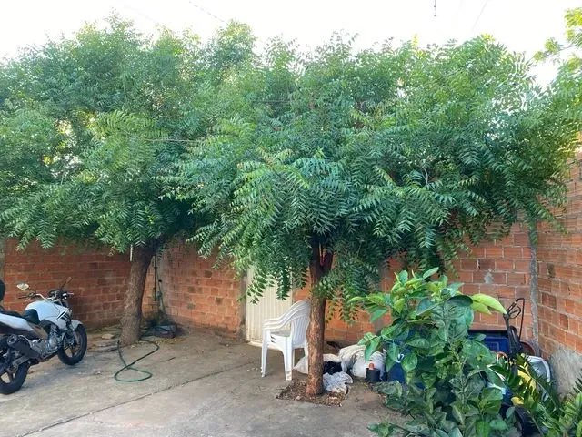 Imagem: Casa a Venda Vale do Gavião