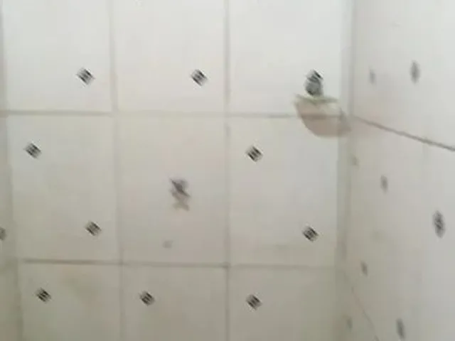 Imagem 4: Aluguel de Quarto