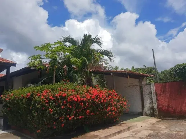 Imagem: Aluguel Chalé Araçagy
