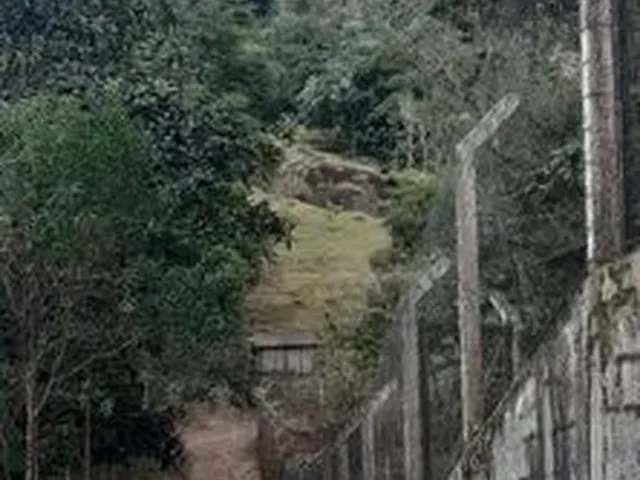 Imagem: Ótimo Sitio em Pinheira - Palhoça - Sc