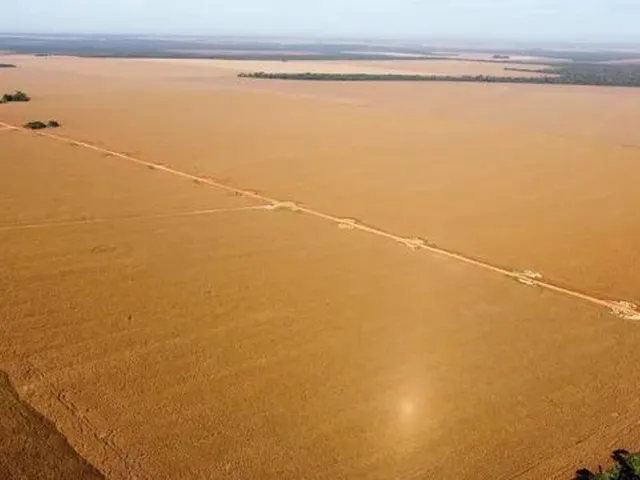 Imagem: Fazenda 1200Ha - 900Ha Aberto