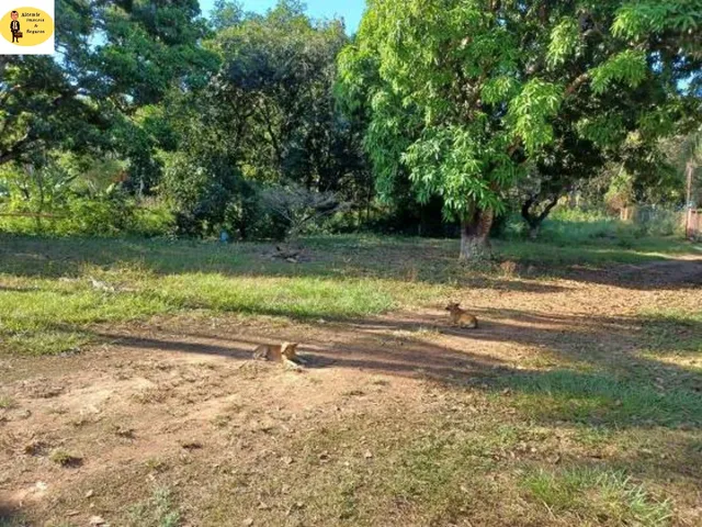 Imagem 11: 3 Dormitórios na Avenida Antártica