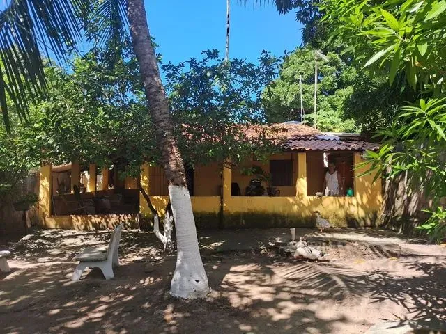 Imagem: Vende- Se Mini Sítio em Itamaracá