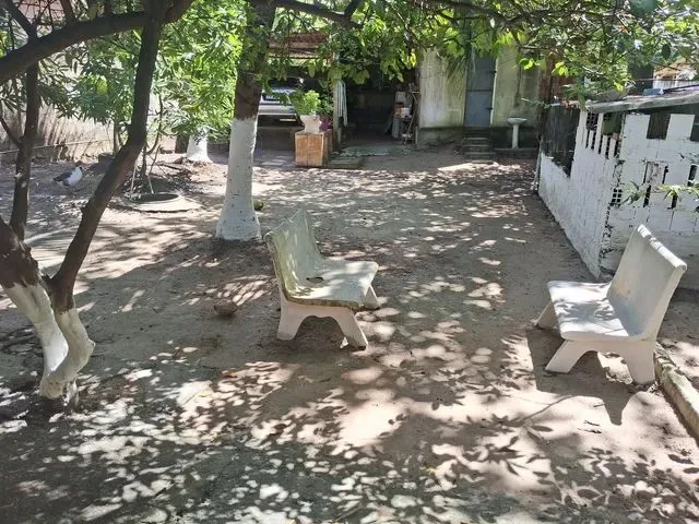 Imagem 6: Vende- Se Mini Sítio em Itamaracá