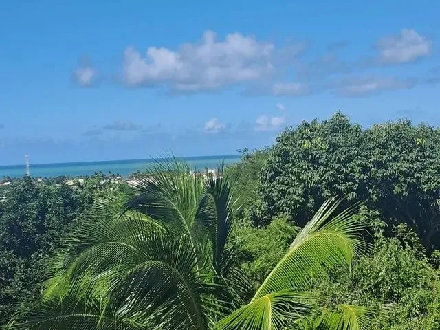 Imagem 5: Vende- Se Mini Sítio em Itamaracá
