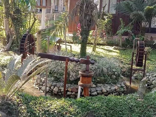 Imagem: Fazenda/Sítio/Chácara para Venda com 800
