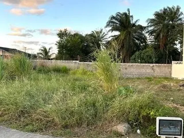 Imagem 6: Camaçari - Loteamento/Condomínio - Vila de Abrantes (Abrantes