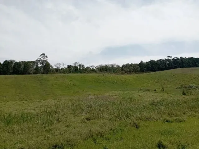 Imagem: 3M -500 Metros Quadrados em Cachoeira