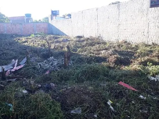 Imagem: Oportunidade - Parque Lusitano 305M2